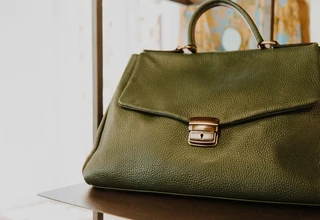 A luxury olive green designer handbag with a gold clasp displayed on a closet shelf, illustrating high-end bag care and storage