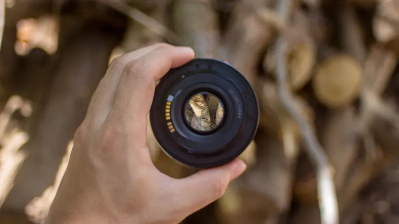 A hand holding a used camera lens up against natural light to look through the rear glass element and check for internal fungus