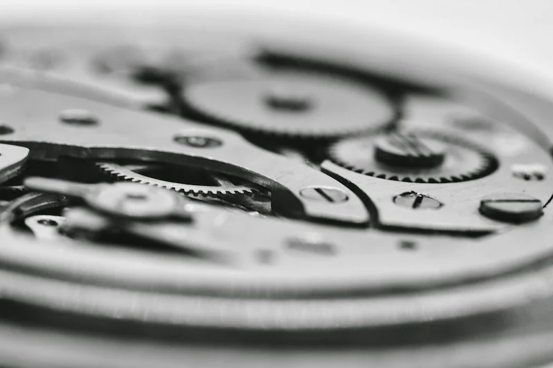 Black and white macro photograph of watch movement gear train illustrating mechanical components affected by dried lubricants and wear